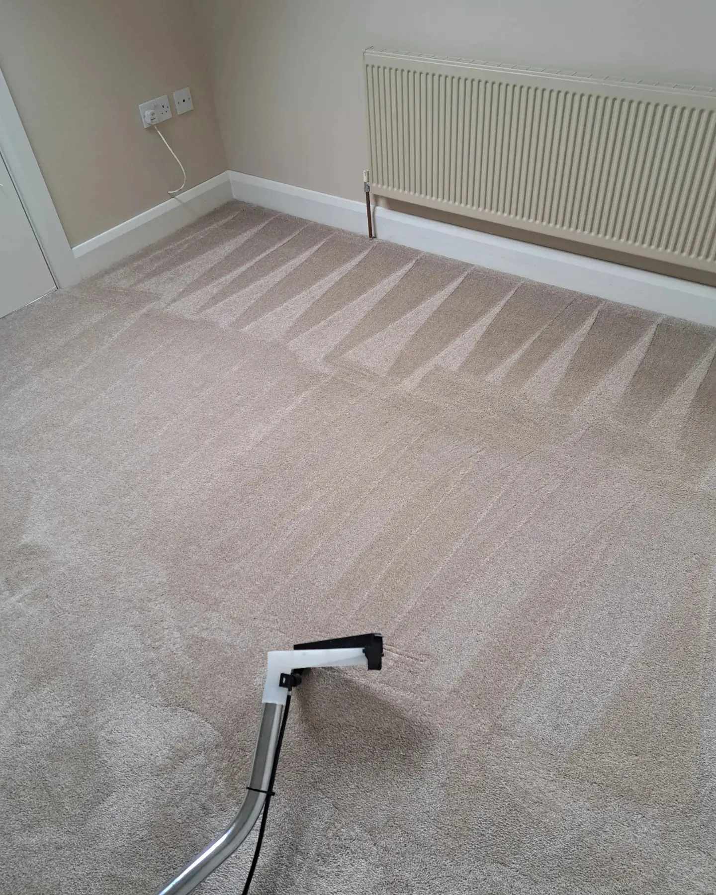 carpet and upholstery